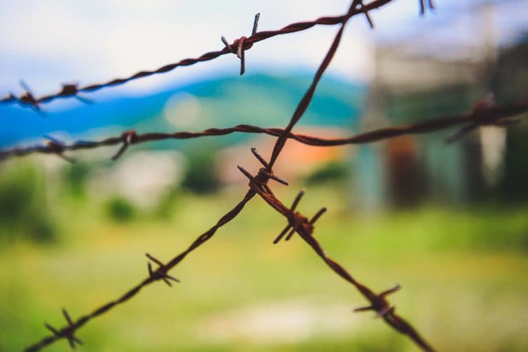 Projeto tipifica terrorismo rural e sabotagem agropecuária